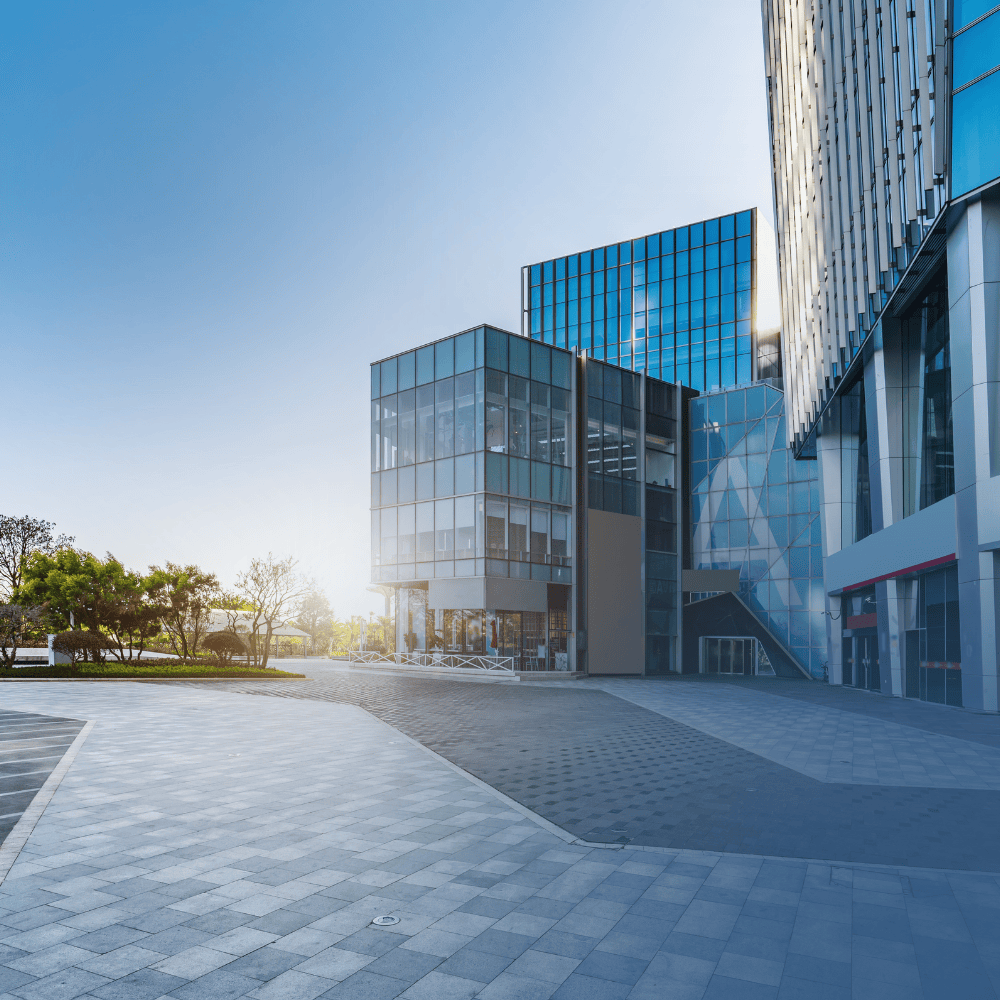 ASIC Lodgements & Company Maintenance