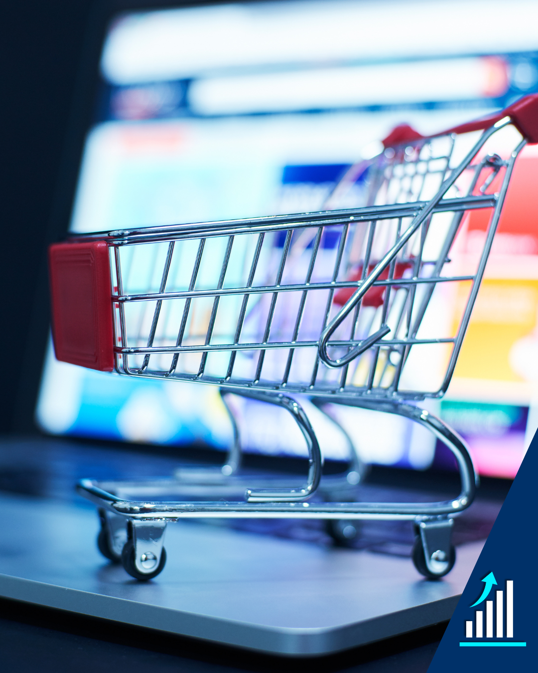 eCommerce or online service providers