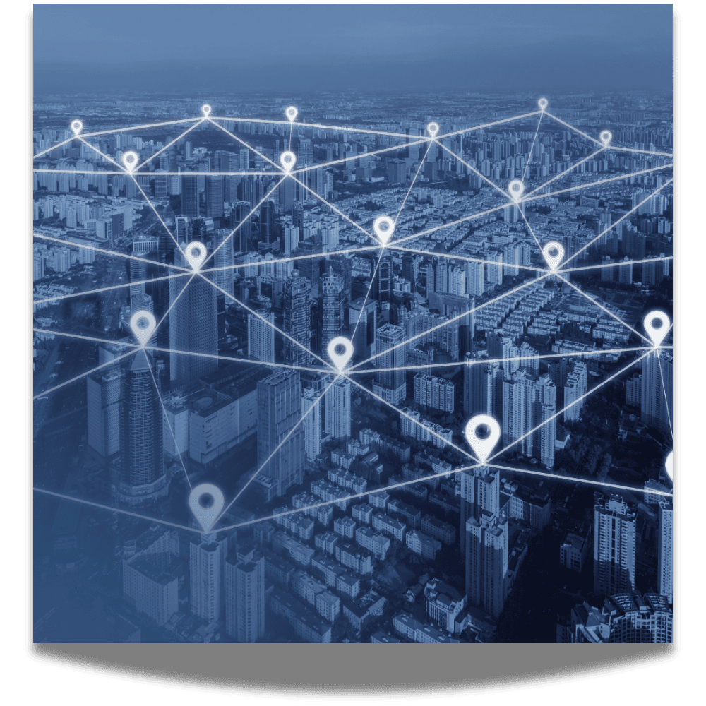 Transfer Pricing Support