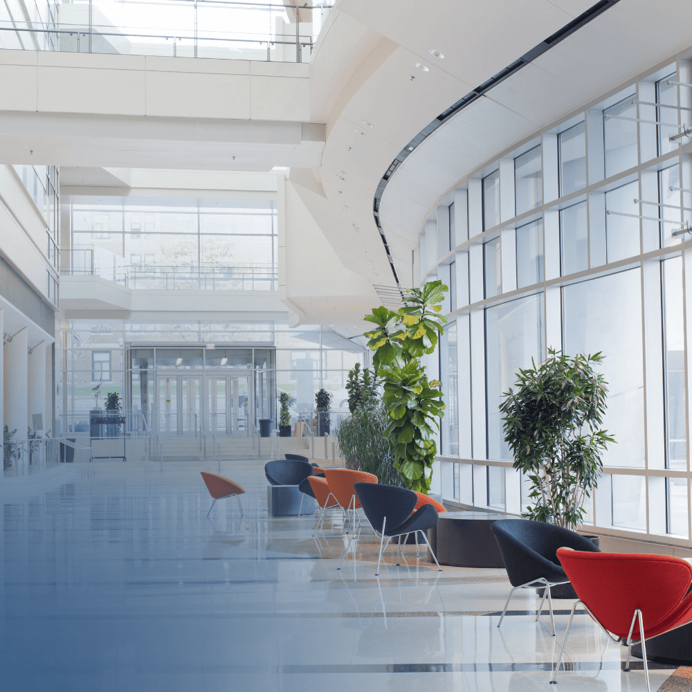 ASIC Lodgements & Company Maintenance