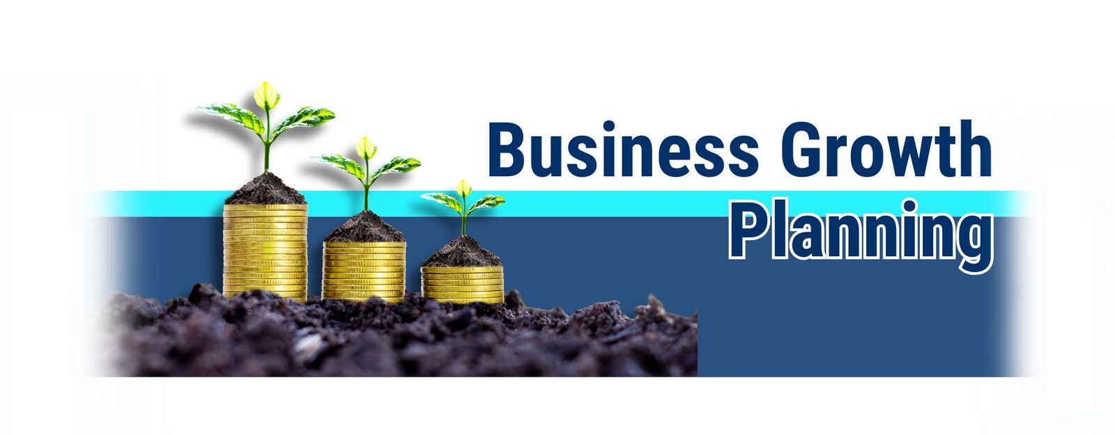 business growth planning