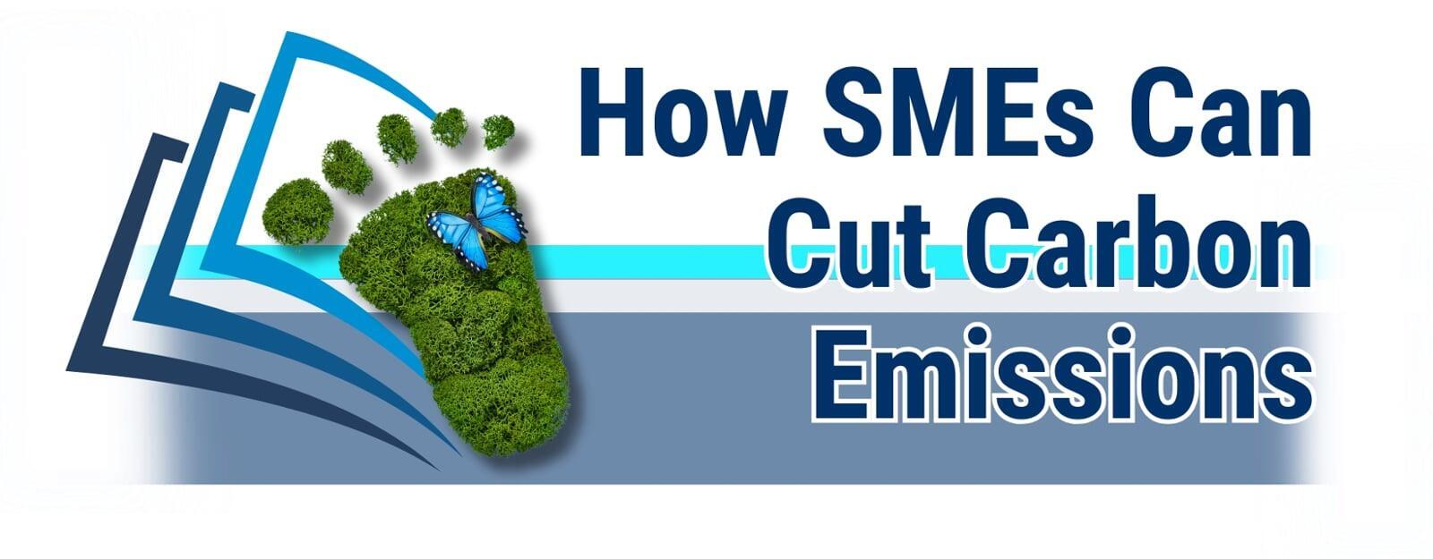 Helping You Reduce Your Company’s Carbon Footprint